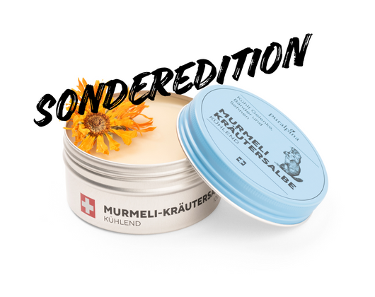 Murmeli-Kräutersalbe kühlend mit sichtbaren Kräutern