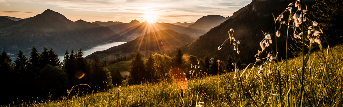 Landschaftsbild in der Abendsonne