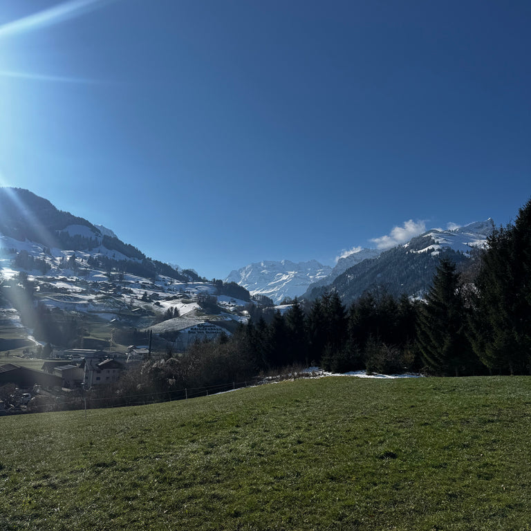 Landschaft in Frutigen