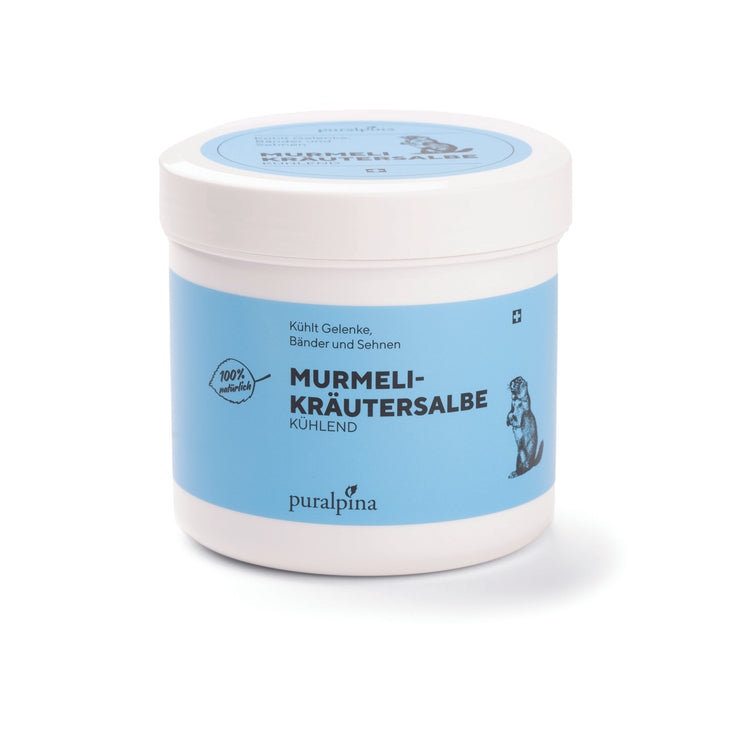 Murmeli-Kräutersalbe wärmend 500ml – Tiefenwärme für Rücken, Muskeln und Gelenke