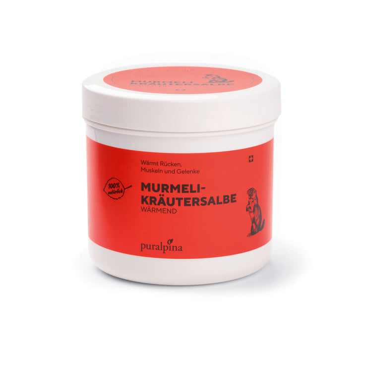 Murmeli-Kräutersalbe wärmend 500ml – Tiefenwärme für Rücken, Muskeln und Gelenke