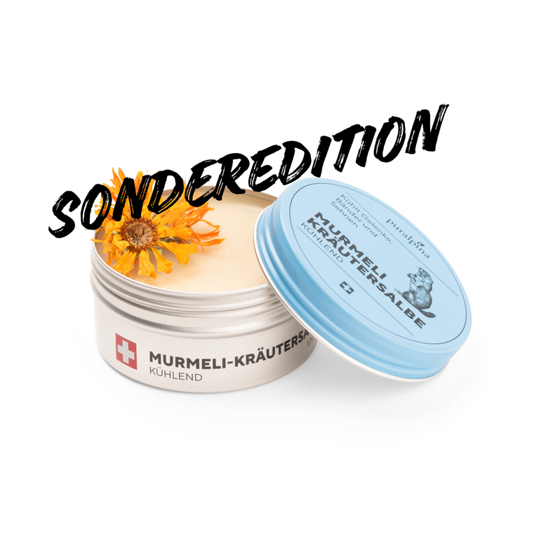 Murmeli-Kräutersalbe kühlend als Sonderedition, geöffnet mit orangefarbener Blüte