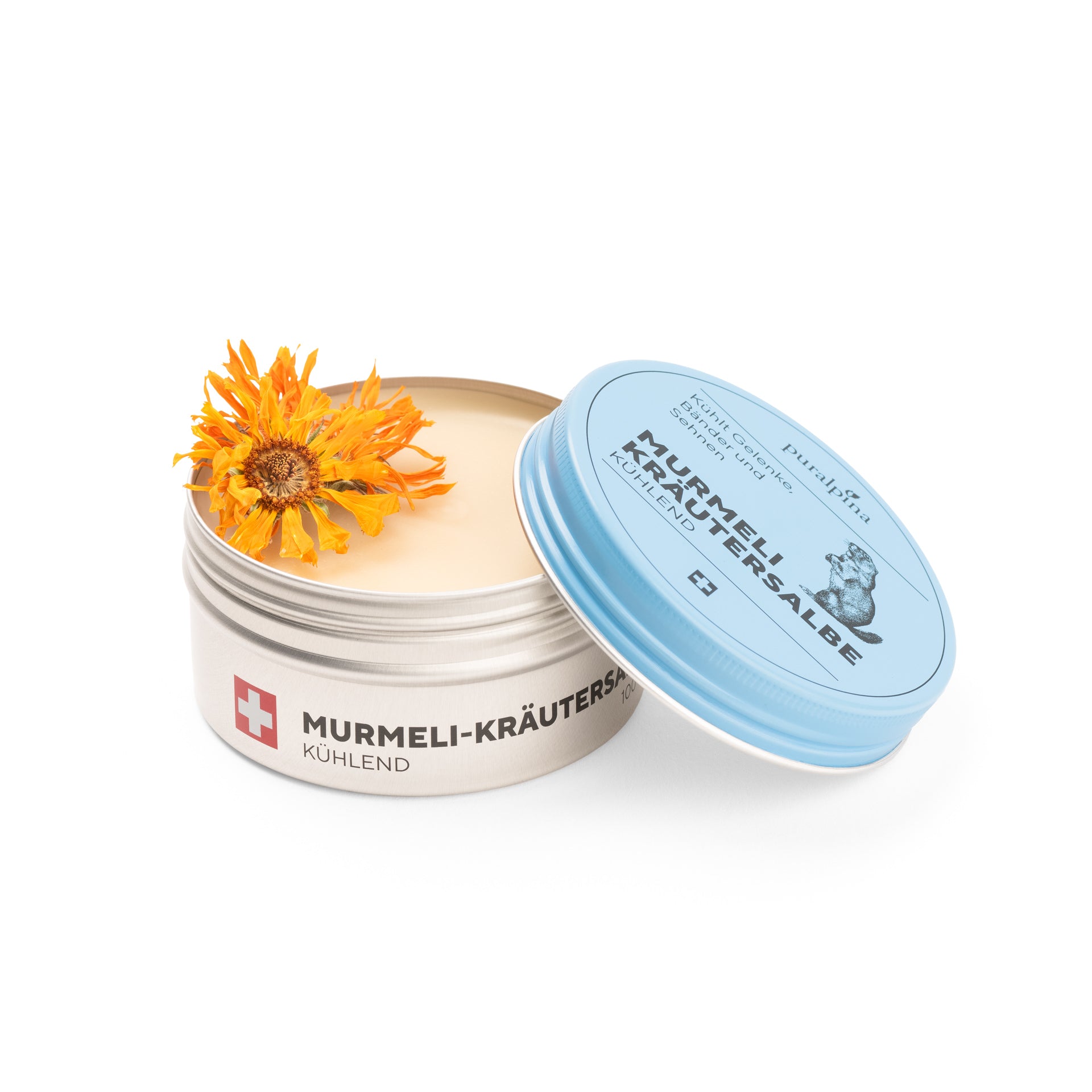 Murmeli-Kräutersalbe kühlend Dose 100ml, Dose offen