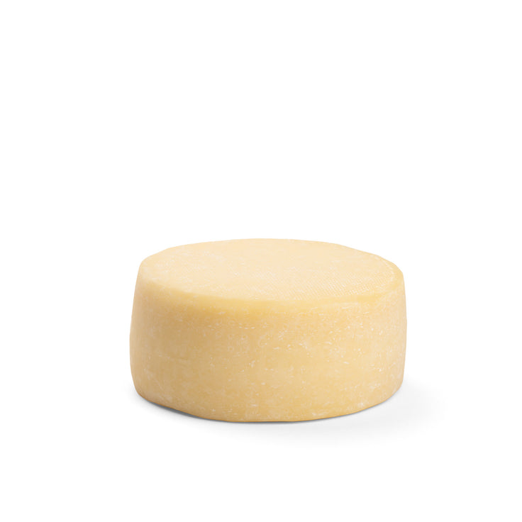 Mutschli Käse rund aus dem Berner Oberland
