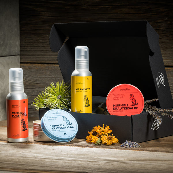 Puralpina Murmeli Set gross in schwarzer Geschenkbox mit zwei Kräutersalben und zwei Massageölen